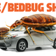 Illustration for article titled Dallas Exterminator Treats 5 to 10 Ride Share Cars A Week For Bed Bug Infestations